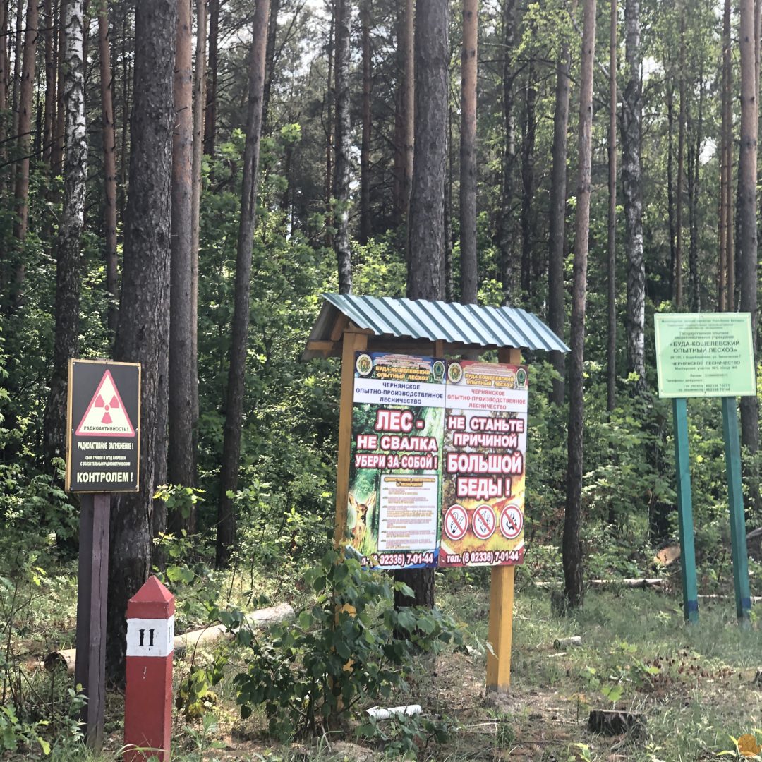 Родник в деревне Черная и отдых у Днепра: атмосферное путешествие по Речицкому району