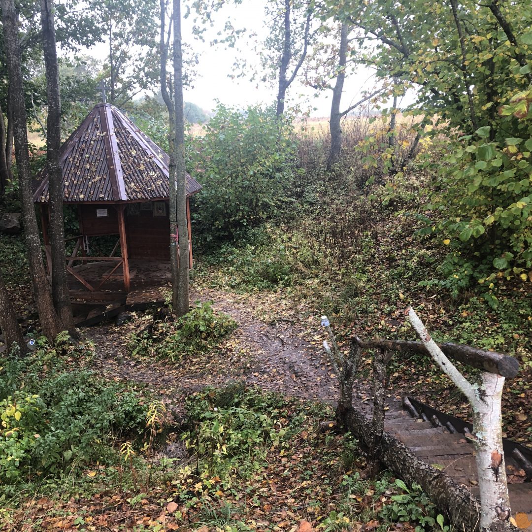 Поход на лесное озеро Гремячее (~10км) и родник Кипячка.