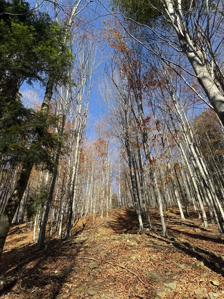 Chatka KTG Limba и осенний маршрут по Beskid Mały