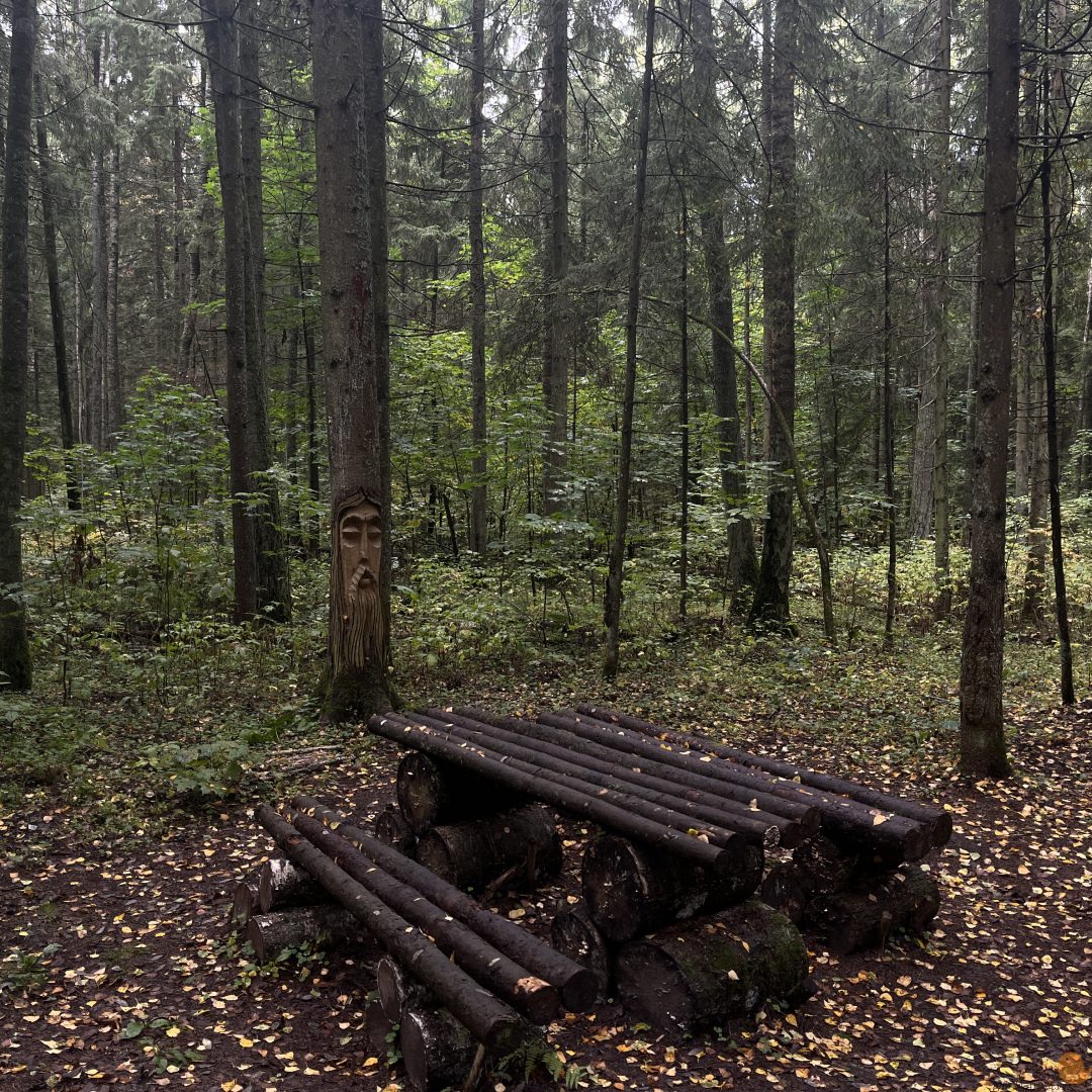 Лысая гора в Беларуси (342м)