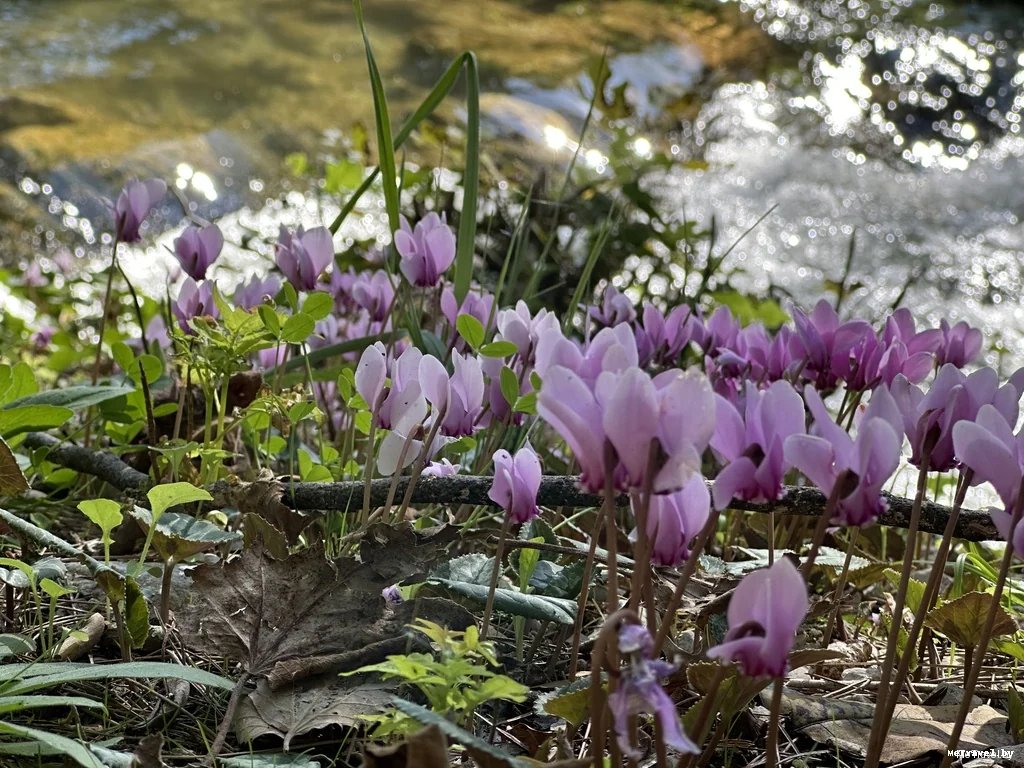 Парк Крка в Хорватии: водопады и маршрут