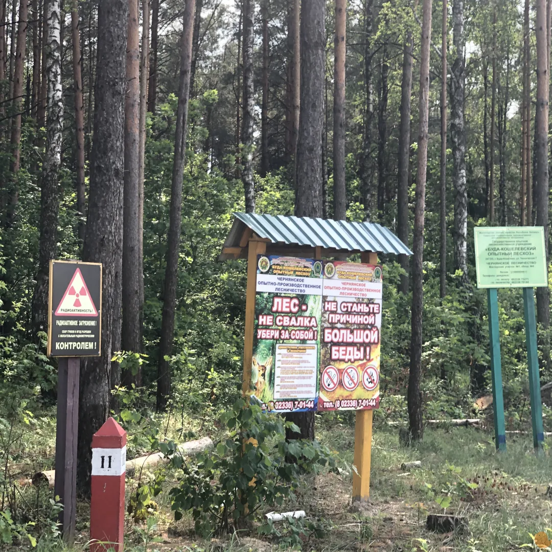 Родник в Чёрной и отдых у Днепра под Речицей